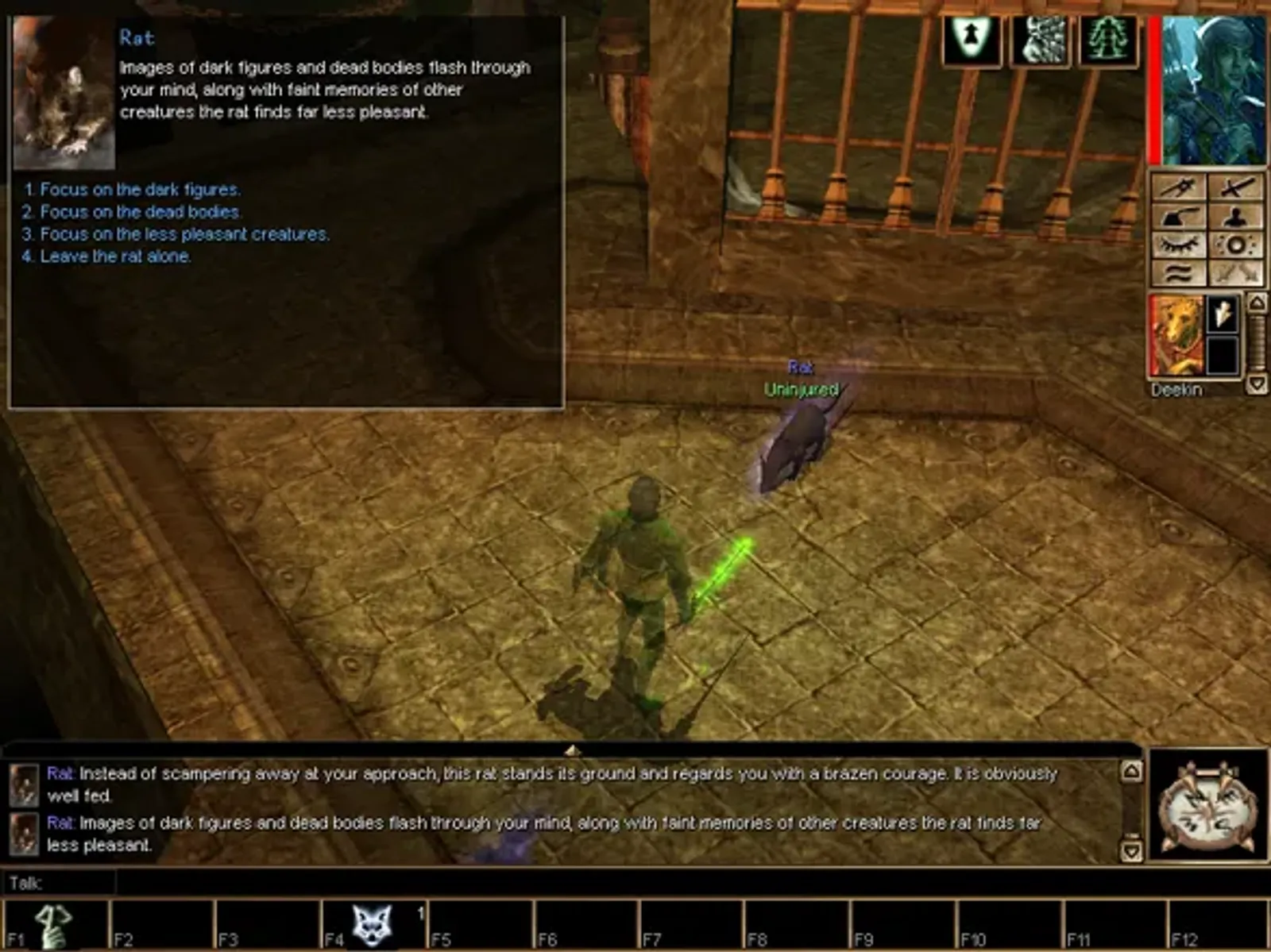 Druids can talk to animals such as this rat