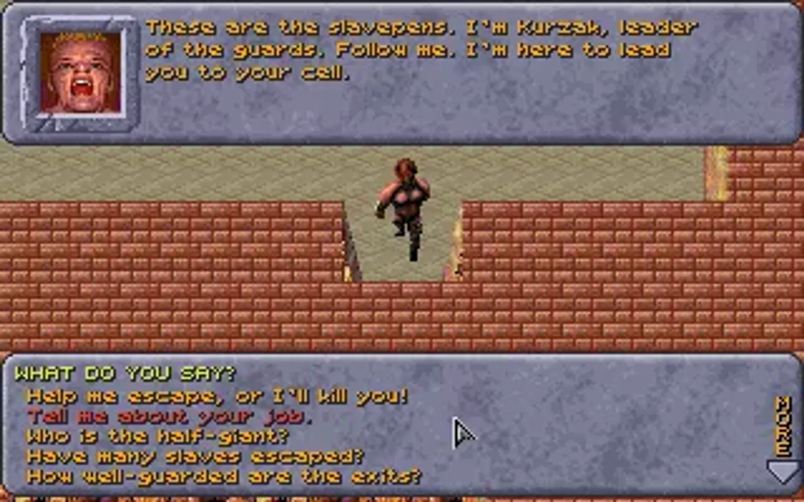 An early dialogue with your "master" in the slave pens. There are quite a few topics and choices!