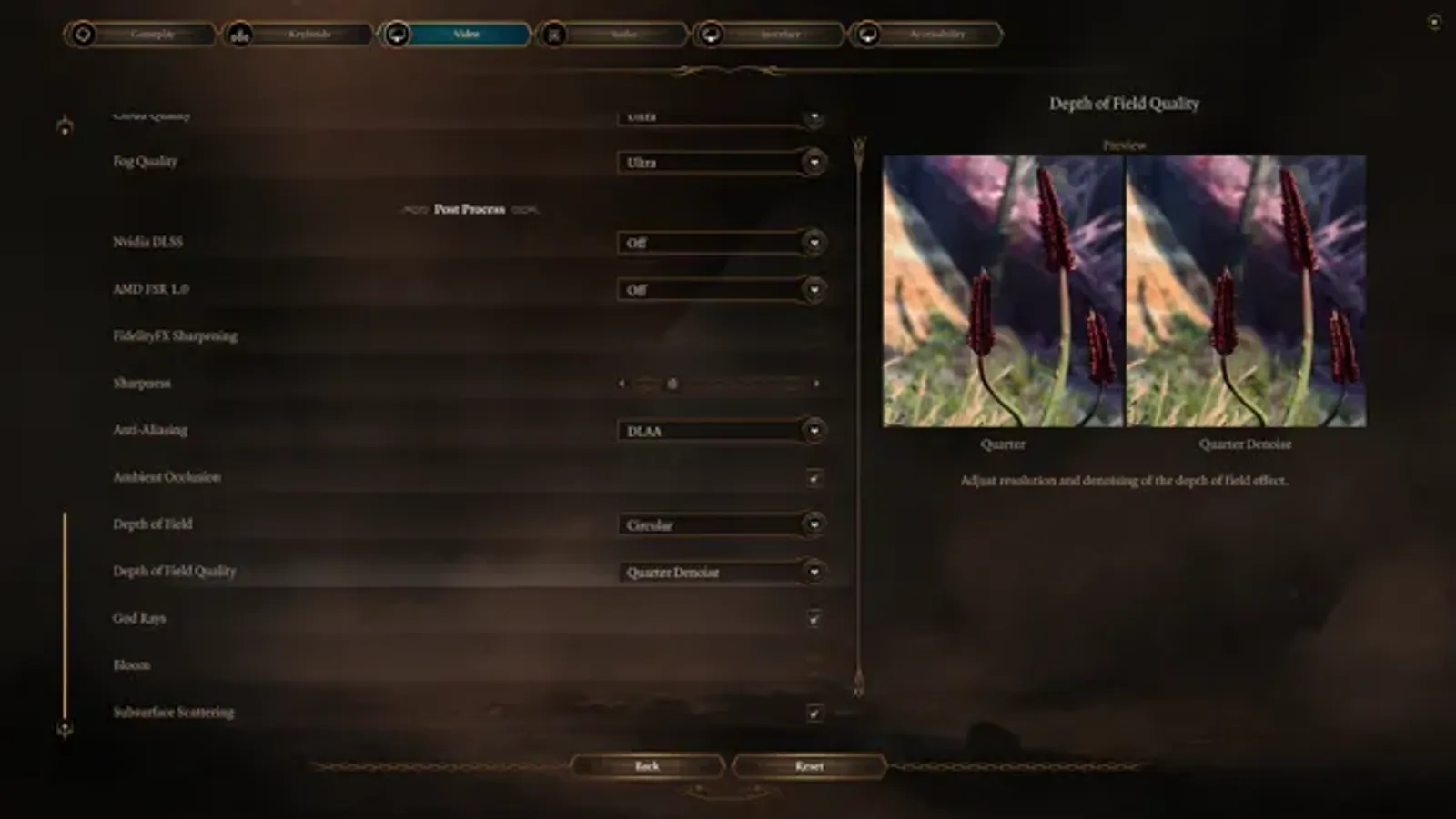 The options are highly customizable and often come with previews of different settings.