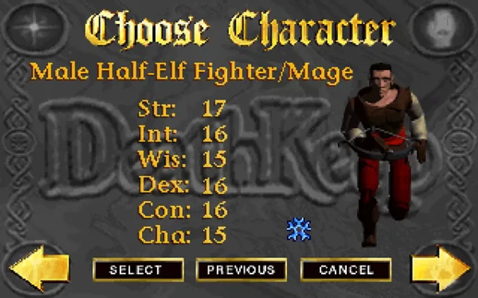 The third of the three characters you can choose from: the male half-elf fighter-mage